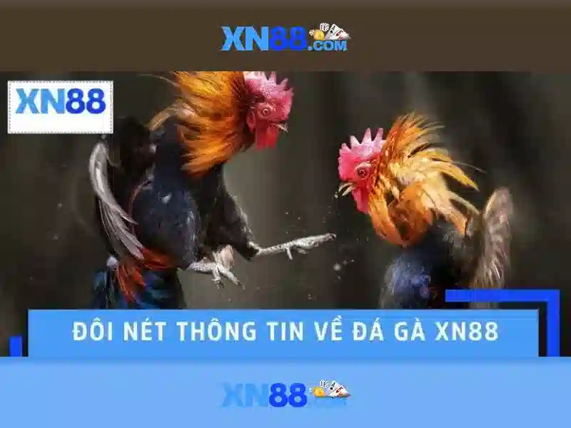 Đặc điểm nổi bật của XN88