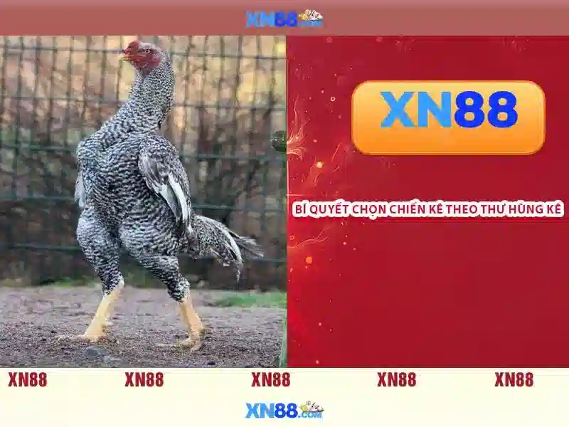 Khuyến mãi Slot tại XN88