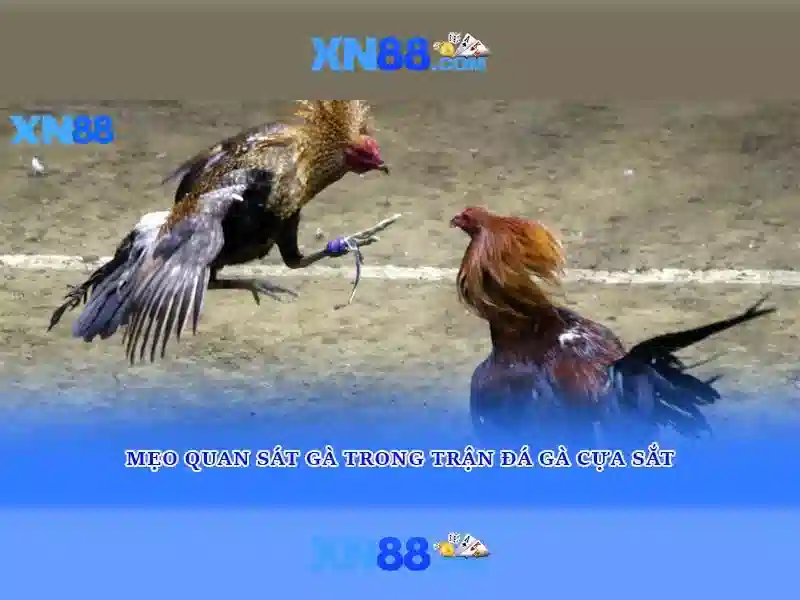 ưu đãi Slot