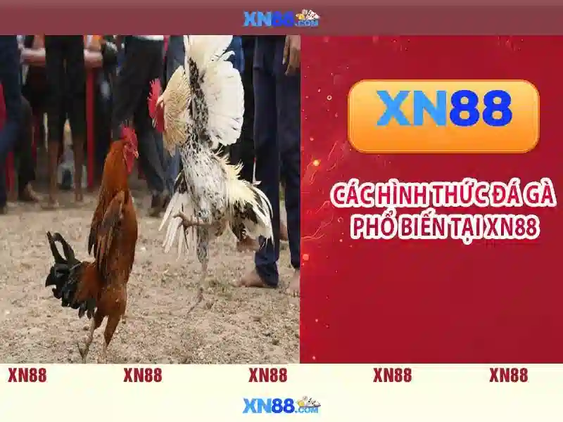 Trải Nghiệm Casino Đỉnh Cao