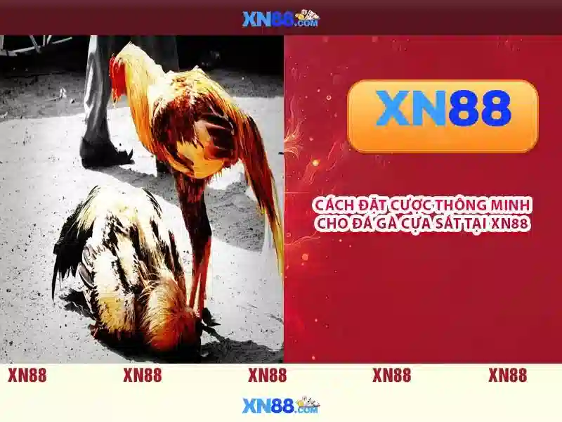 XN88 – Trang Chủ Chính Thức App XN88, Casino, Slot, Bắn Cá, Thể Thao, Xổ Số, Nổ Hũ, Đá Gà, Khuyến Mãi 2026