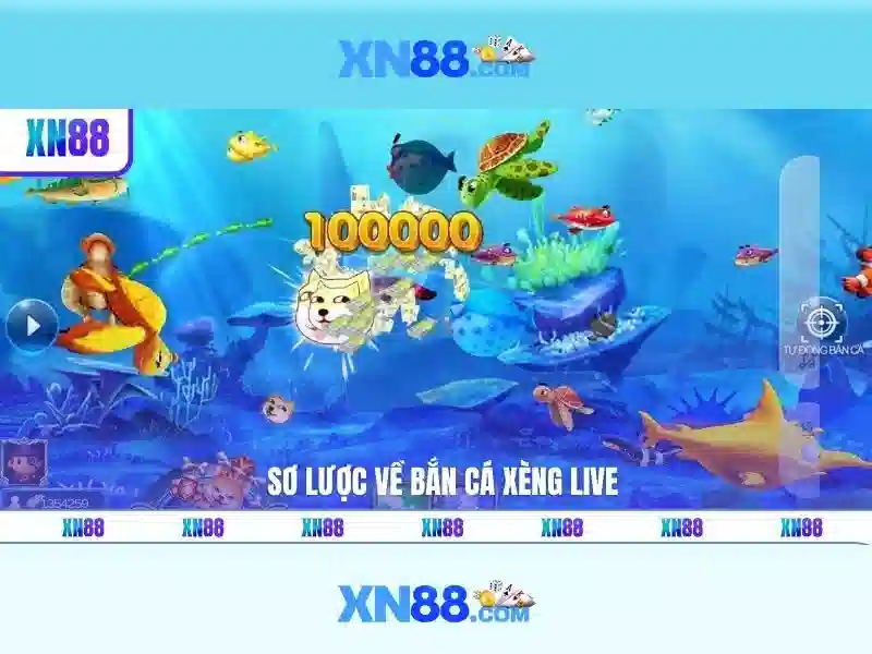 Quy Định Tổng Quát