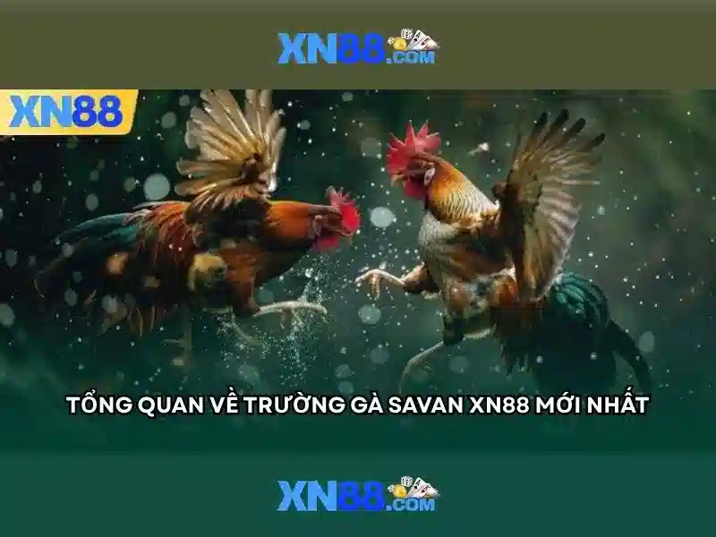 Kinh Nghiệm Chơi Slot Game Tại XN88