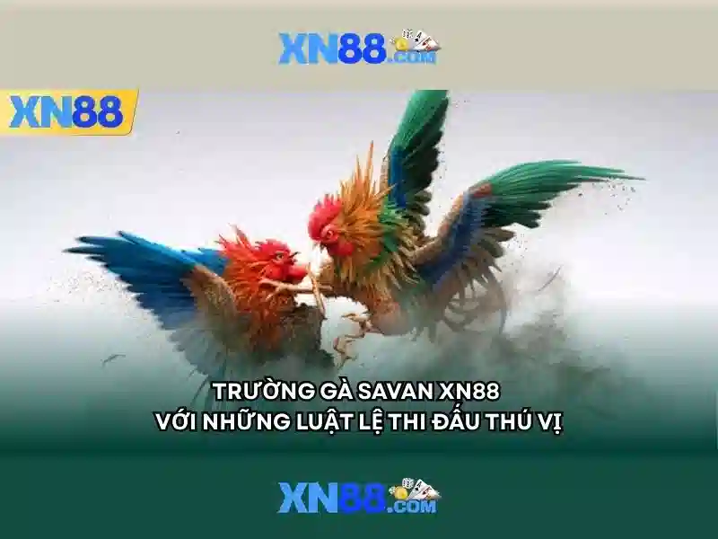 XN88 – Trang Chủ XN88 Chính Thức Không Bị Chặn 2026