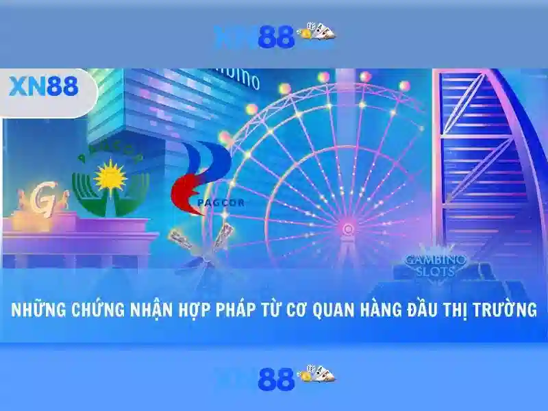 Chính Sách Bảo Vệ XN88