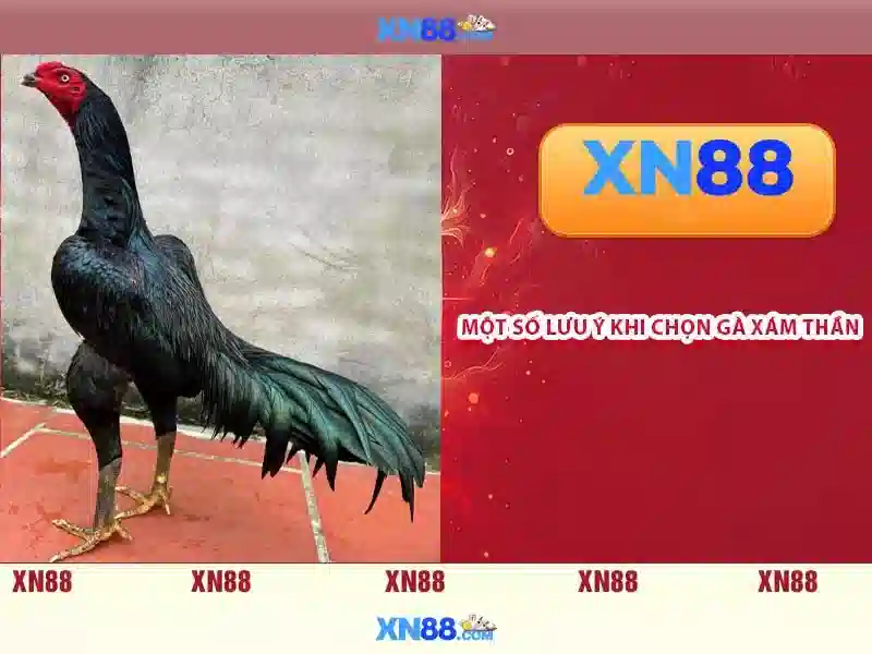 Cách tải ứng dụng