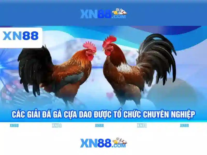 Trải nghiệm cá cược sôi động