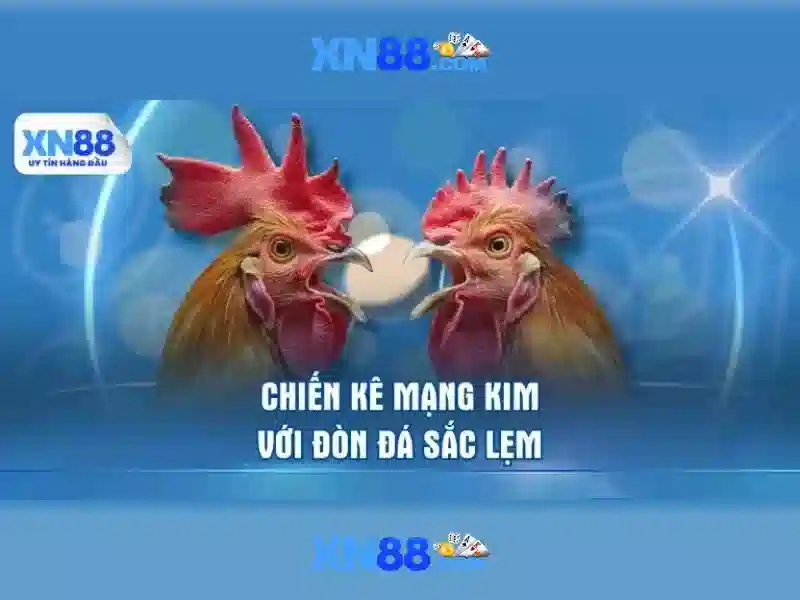 Quy trình đăng nhập XN88