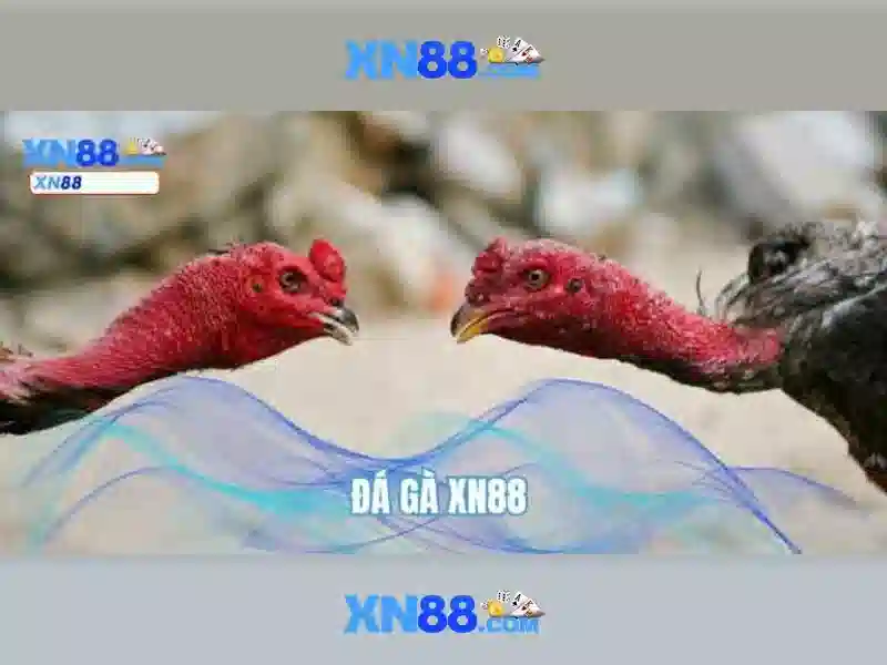 Tính Năng Nổi Bật Của XN88 App Com
