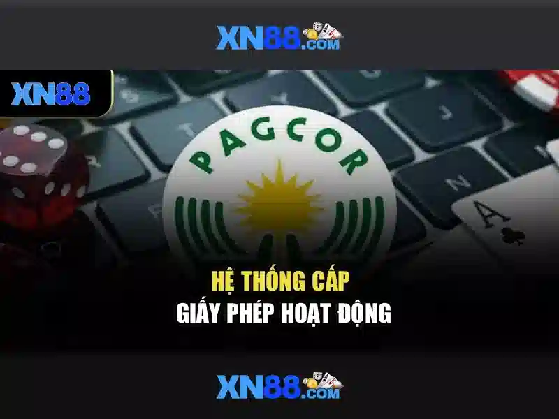 Đánh Giá XN88