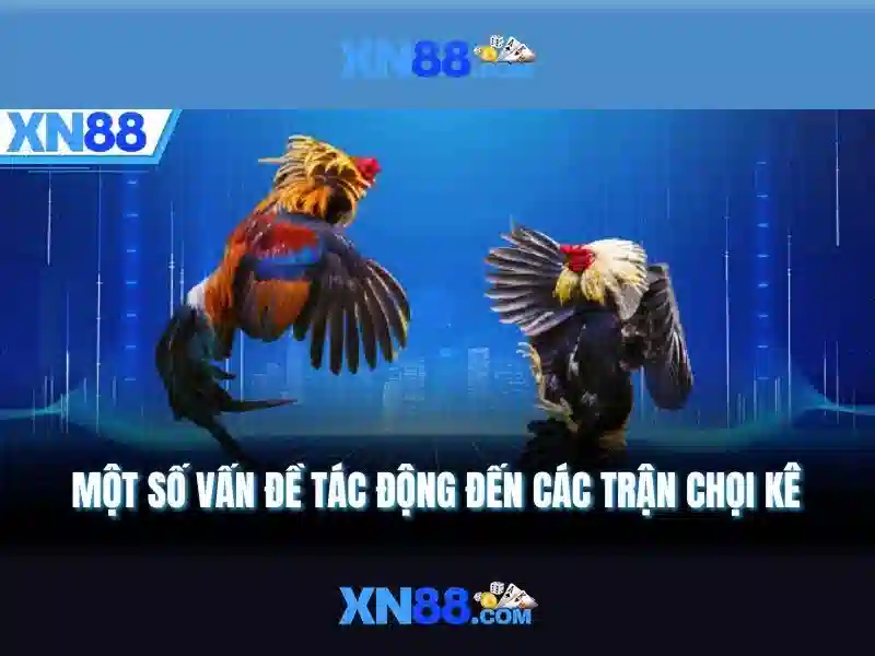 XN88 – Trải Nghiệm Slot Đỉnh Cao Cùng XN88 Gaming