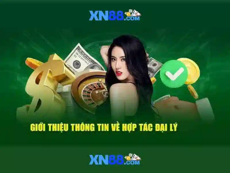 Giới Thiệu Về XN88
