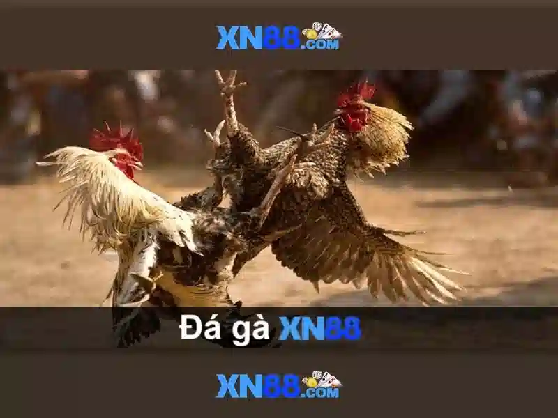 Cách Tải App XN88