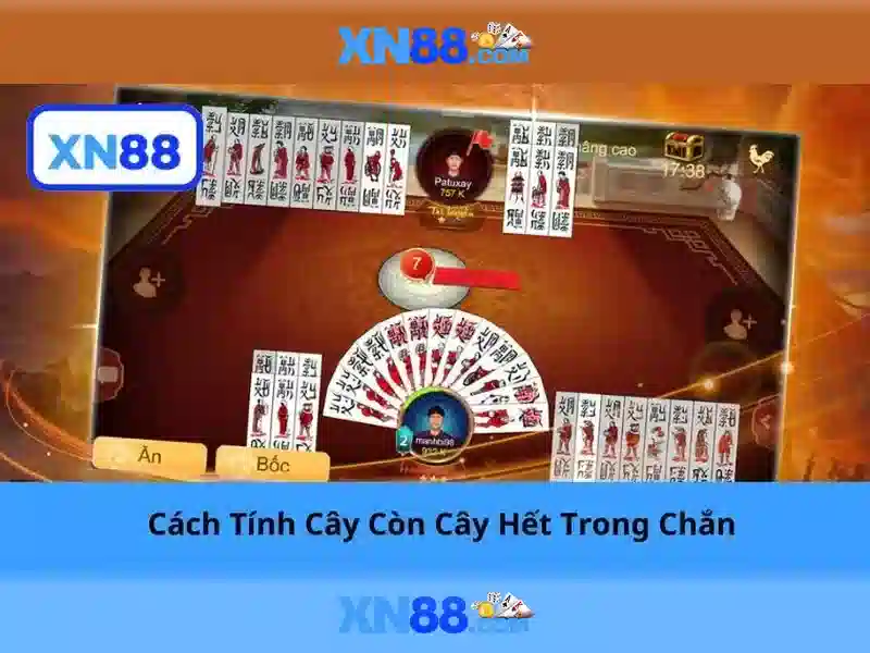 Đặc Điểm XN88