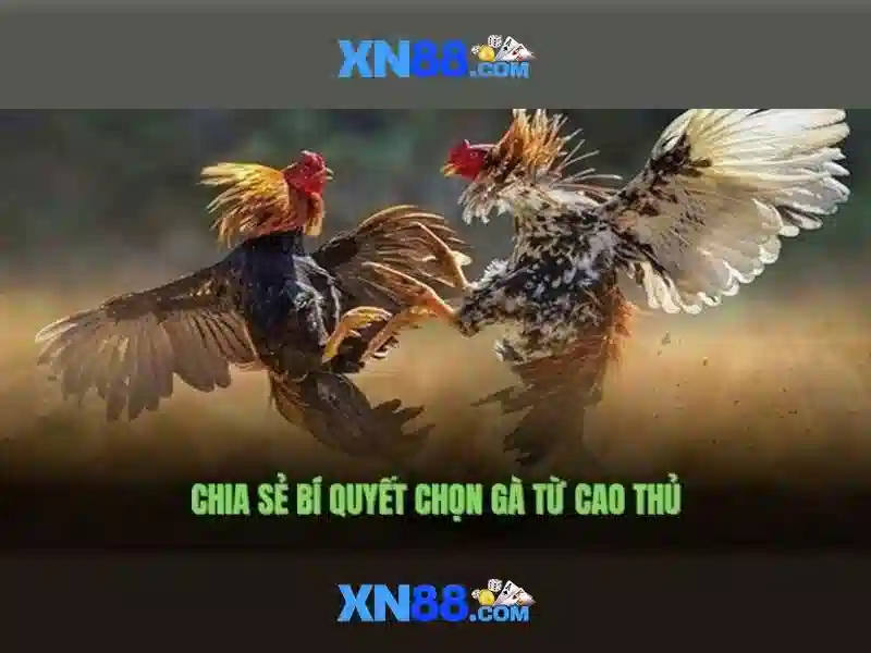 Ưu Điểm Nổi Bật Của Slot BSHRF
