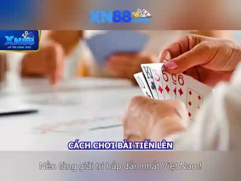 Đánh Giá XN88