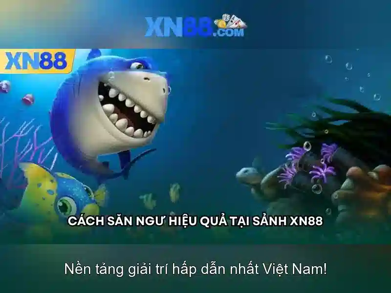 Khuyến mãi XN88