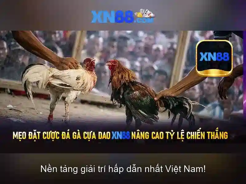 Giải Pháp Chống Lừa Đảo Hiệu Quả