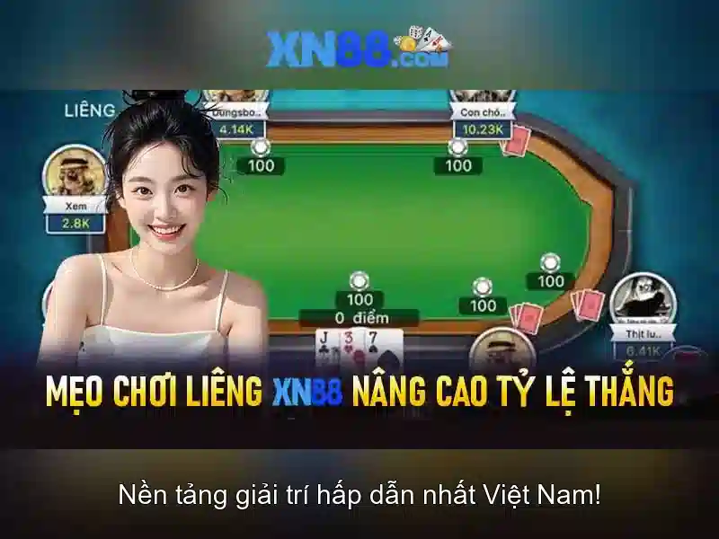 Điều Kiện Sử Dụng XN88