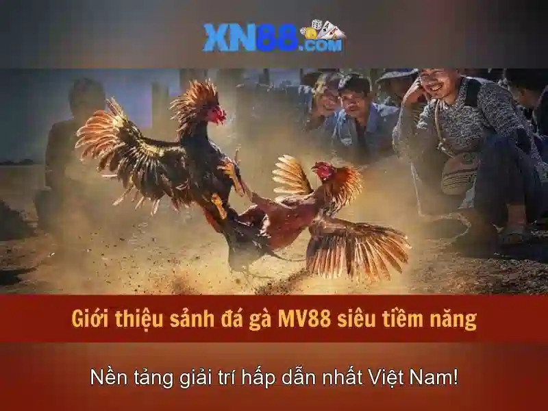 Tải XN88 Miễn Phí