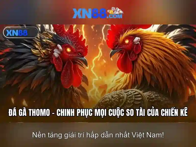 Trải nghiệm Slot tại XN88
