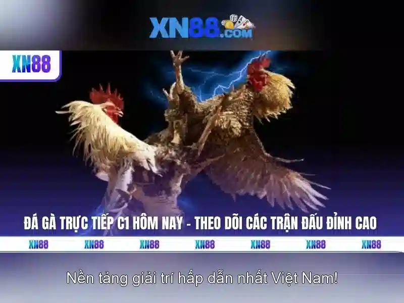 Trải nghiệm game Slot tại XN88