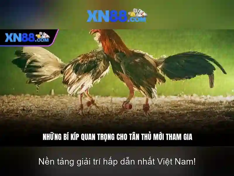 XN88 – Trang Chủ XN88 Chính Thức Không Bị Chặn 2026 | xn88 bshrf
