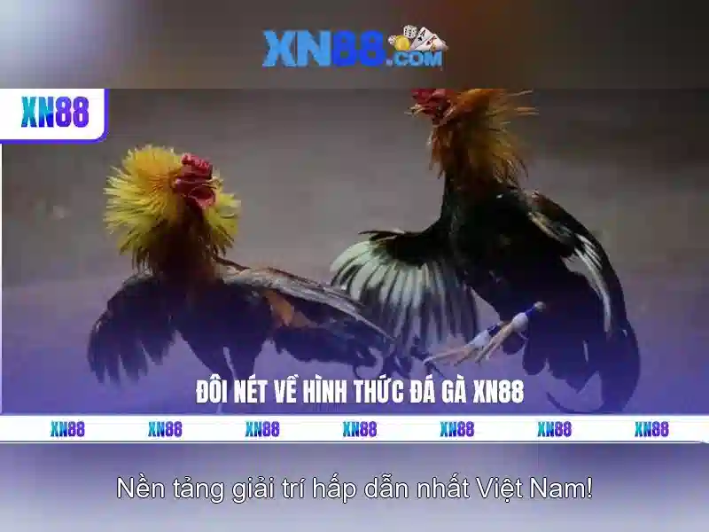 Hướng dẫn tải XN88
