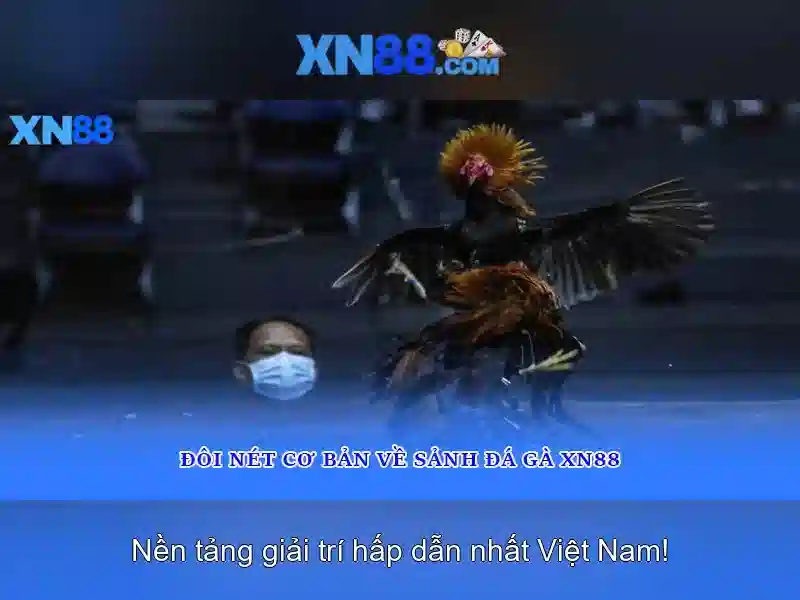 Trải nghiệm slot tại XN88