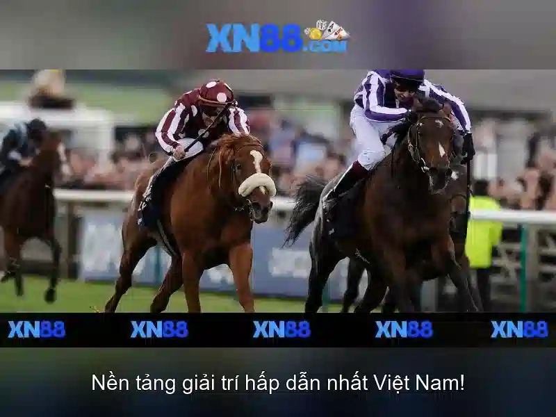 Đăng Nhập XN88
