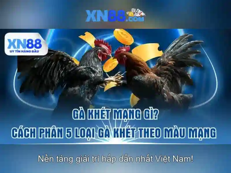 Trò Chơi Slot XN88