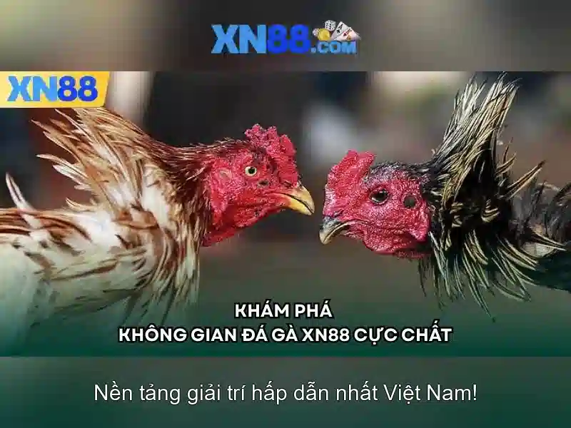 Hướng dẫn đăng nhập XN88