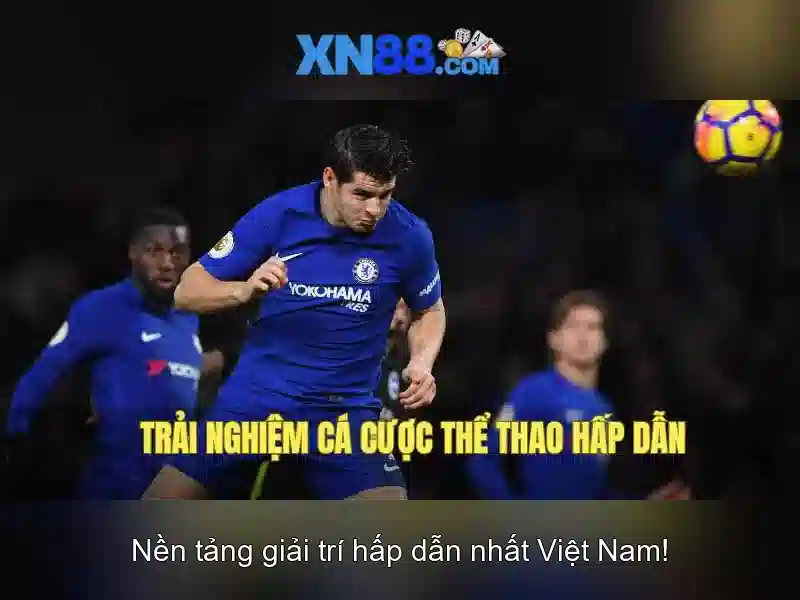 Tối Ưu Tìm Kiếm
