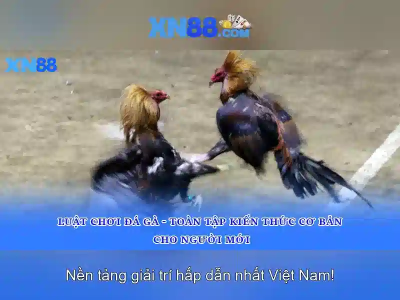 Đa Dạng Trò Chơi Slot Tại XN88