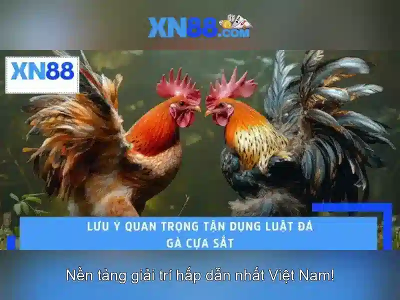 Trải Nghiệm Slot Đỉnh Cao