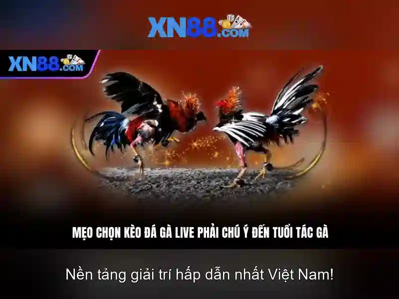 Ưu Đãi XN88 bshrf IMG.TIMG_END --></p><h3><strong>XN88 bshrf</strong> – Cách Tận Dụng Tối Ưu Trong Khu Vực Slot</h3><p>Để tối ưu hóa trải nghiệm slot, người chơi nên:</p><ul><li>Chọn game slot có tỷ lệ trả thưởng cao (RTP ≥ 96%)</li><li>Sử dụng tính năng tự động quay để tiết kiệm thời gian</li><li>Tham gia các sự kiện khuyến mãi hàng tuần</li><li>Đặt giới hạn thua và dừng chơi khi đạt ngưỡng</li></ul><p>Việc kết hợp giữa chiến lược chơi thông minh và công cụ phân tích từ <strong>XN88 bshrf</strong> sẽ giúp bạn tận dụng tối đa tiềm năng của khu vực slot. Hãy đăng nhập <a href='https://sakshitv.com' title='XN88'>XN88</a> ngay hôm nay để bắt đầu hành trình chiến thắng!</p><h2><strong>XN88 bshrf</strong> – Hướng Dẫn Đăng Nhập Nhanh Chóng</h2><p>Để đăng nhập <strong>XN88 bshrf</strong>, bạn cần:</p><ol><li>Truy cập trang chủ chính thức</li><li>Nhập tài khoản và mật khẩu đã đăng ký</li><li>Click nút 'Đăng Nhập' và xác thực qua OTP</li><li>Chọn khu vực slot mong muốn</li></ol><p class='body_img'></p><h3><strong>XN88 bshrf</strong> – Cách Tận Dụng Tối Ưu Trong Khu Vực Slot</h3><p>Để tối ưu hóa trải nghiệm slot, người chơi nên:</p><ul><li>Chọn game slot có tỷ lệ trả thưởng cao (RTP ≥ 96%)</li><li>Sử dụng tính năng tự động quay để tiết kiệm thời gian</li><li>Tham gia các sự kiện khuyến mãi hàng tuần</li><li>Đặt giới hạn thua và dừng chơi khi đạt ngưỡng</li></ul><p>Việc kết hợp giữa chiến lược chơi thông minh và công cụ phân tích từ <strong>XN88 bshrf</strong> sẽ giúp bạn tận dụng tối đa tiềm năng của khu vực slot. Hãy đăng nhập <a href='https://sakshitv.com' title='XN88'>XN88</a> ngay hôm nay để bắt đầu hành trình chiến thắng!</p><h2><strong>XN88 bshrf</strong> – Hướng Dẫn Đăng Nhập Nhanh Chóng</h2><p>Để đăng nhập <strong>XN88 bshrf</strong>, bạn cần:</p><ol><li>Truy cập trang chủ chính thức</li><li>Nhập tài khoản và mật khẩu đã đăng ký</li><li>Click nút 'Đăng Nhập' và xác thực qua OTP</li><li>Chọn khu vực slot mong muốn</li></ol><p class='body_img'><div class=
