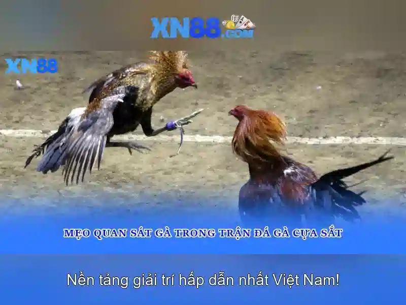 Hướng dẫn đăng ký slot