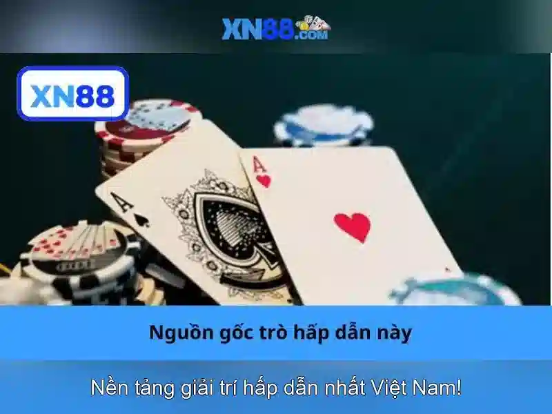 XN88 Link