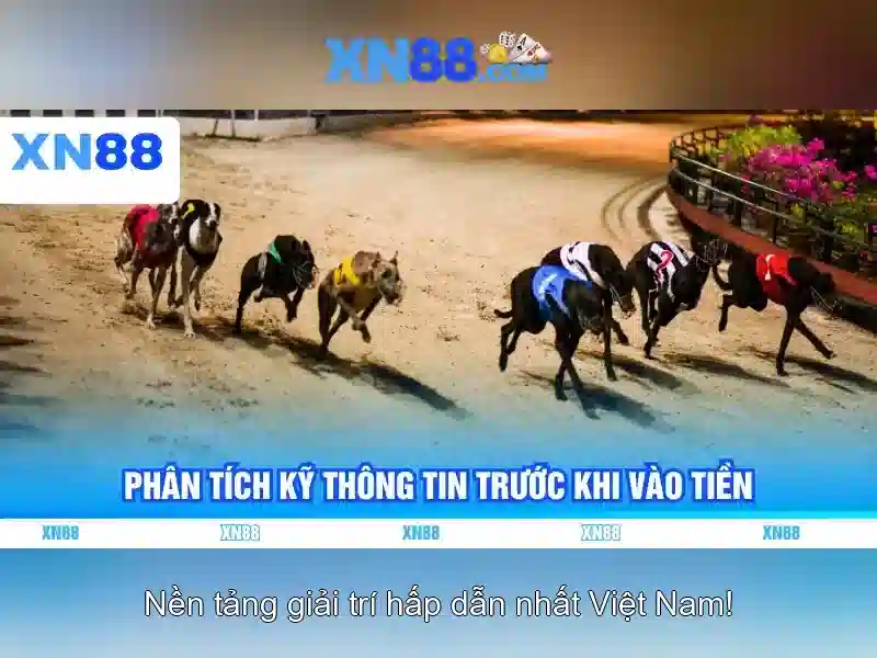 XN88 Slot Trải Nghiệm Đỉnh Cao