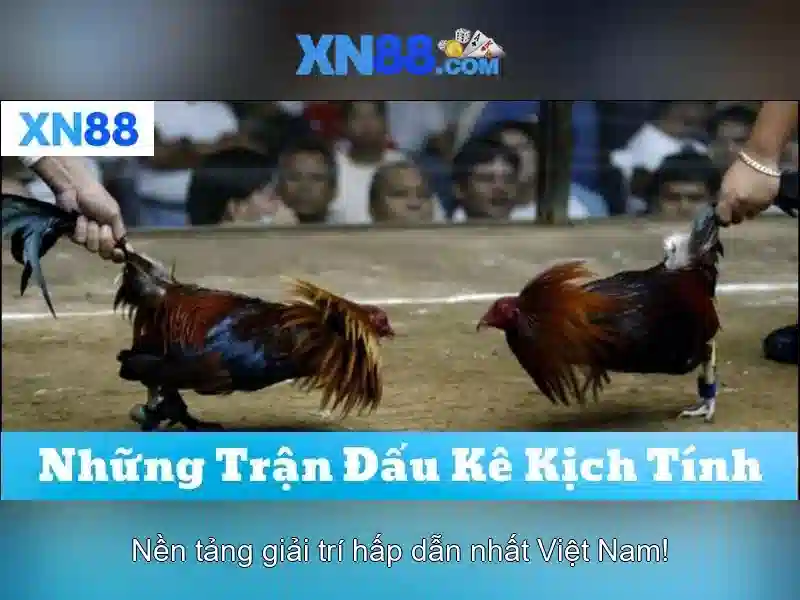 Hướng dẫn nhận biết lừa đảo
