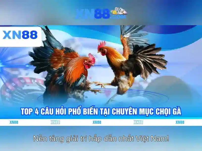 Quyền Riêng Tư XN88