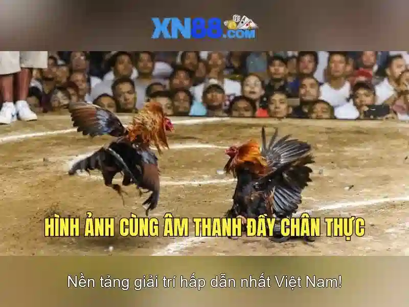 top 5 trò chơi slot XN88