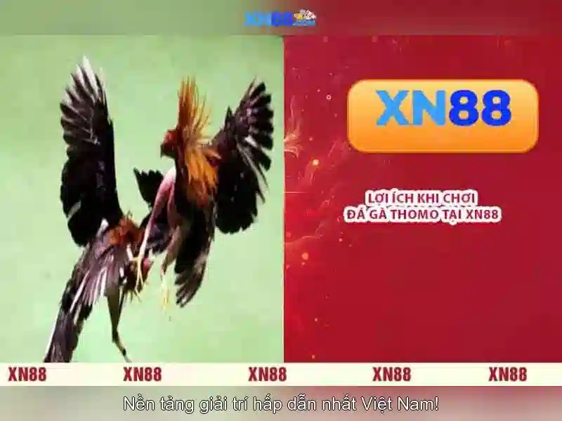 Bảo mật khi đăng nhập XN88 IMG-TAG --></p><h3>Các Loại Slot Đang Được Ưa Chuộng Nhất</h3><p>Slot 2026 cung cấp đa dạng thể loại trò chơi:</p><ul><li>Slot cổ điển với biểu tượng hình quả dưa hấu</li><li>Slot hiện đại với hệ thống quay liên tục</li><li>Slot 3D tương tác với người chơi</li></ul><h2>Tip Tối Ưu Khi Truy Cập Slot 2026</h2><p>Để tận dụng tối đa <strong>XN88 đăng nhập</strong>, bạn nên:</p><ul><li>Thường xuyên cập nhật thông tin khuyến mãi</li><li>Sử dụng tính năng tự động hóa đặt cược</li><li>Tham gia các sự kiện trực tiếp trên cổng game</li></ul><p class='body_img'></p><h3>Các Loại Slot Đang Được Ưa Chuộng Nhất</h3><p>Slot 2026 cung cấp đa dạng thể loại trò chơi:</p><ul><li>Slot cổ điển với biểu tượng hình quả dưa hấu</li><li>Slot hiện đại với hệ thống quay liên tục</li><li>Slot 3D tương tác với người chơi</li></ul><h2>Tip Tối Ưu Khi Truy Cập Slot 2026</h2><p>Để tận dụng tối đa <strong>XN88 đăng nhập</strong>, bạn nên:</p><ul><li>Thường xuyên cập nhật thông tin khuyến mãi</li><li>Sử dụng tính năng tự động hóa đặt cược</li><li>Tham gia các sự kiện trực tiếp trên cổng game</li></ul><p class='body_img'><div class=