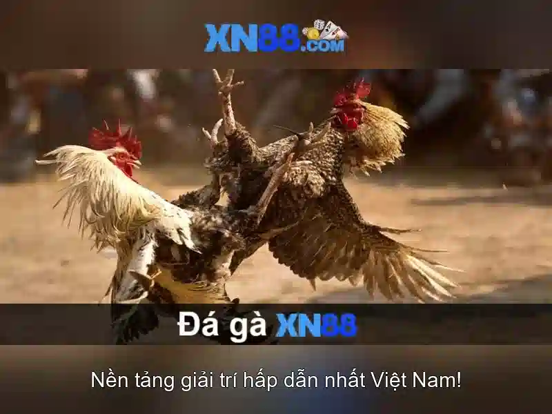 Trải Nghiệm Cá Cược