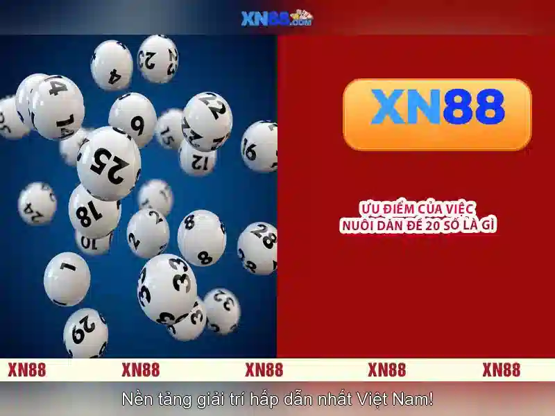 Ưu đãi XN88