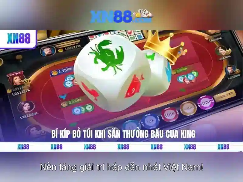 Trải Nghiệm Đỉnh Cao